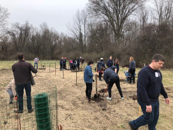 More orchard planting